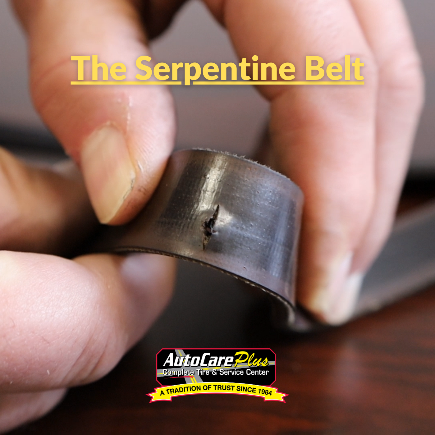 What Is a Serpentine Belt & When Should You Replace It?