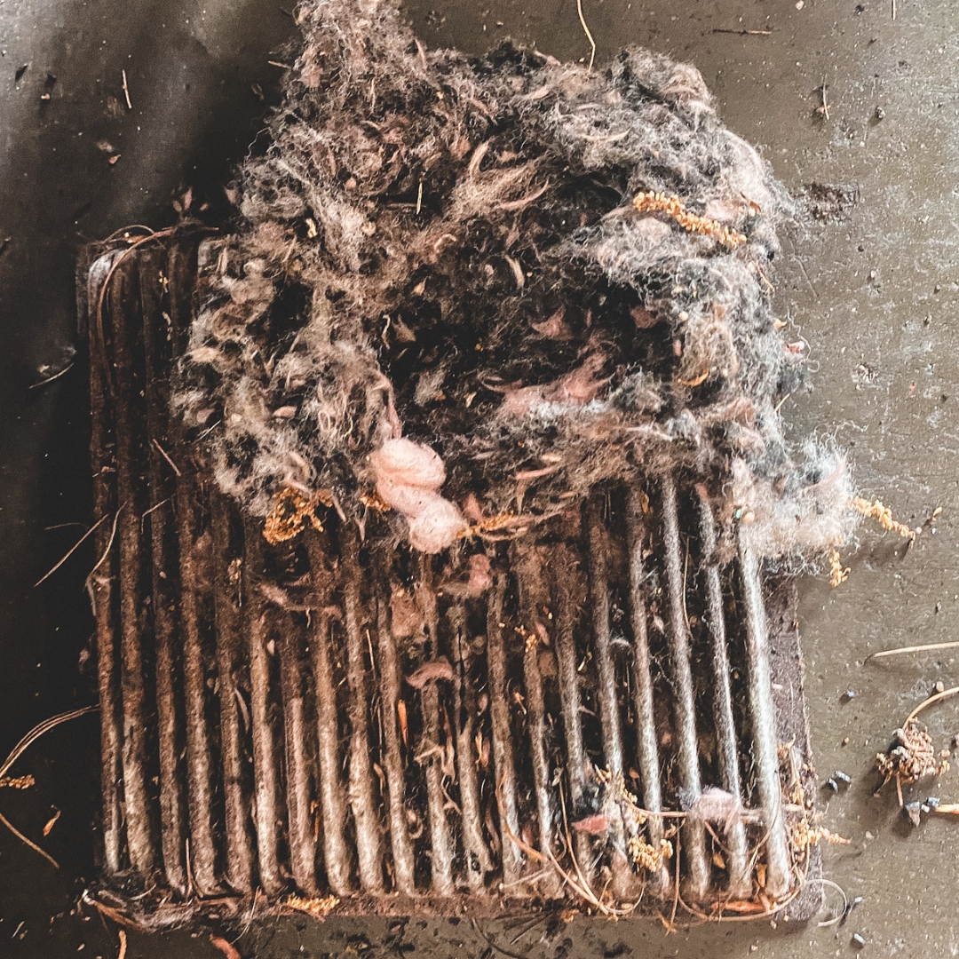 Everything You Need To Know About Cabin Air Filters And How To Replace It
